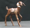 Baby Girl Nubian Goat