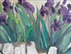 Iris En Provence