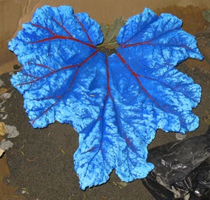 Cast Gunnera Leaf