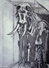 elephant, 2001