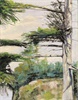 Coastal pine