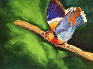 Colorful Dove