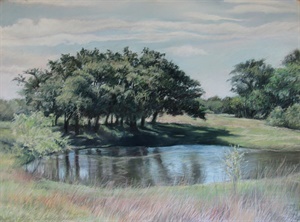 County Pond and Oak
