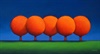 The Orange Trees