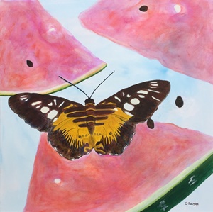 Butterfly with Watermelon